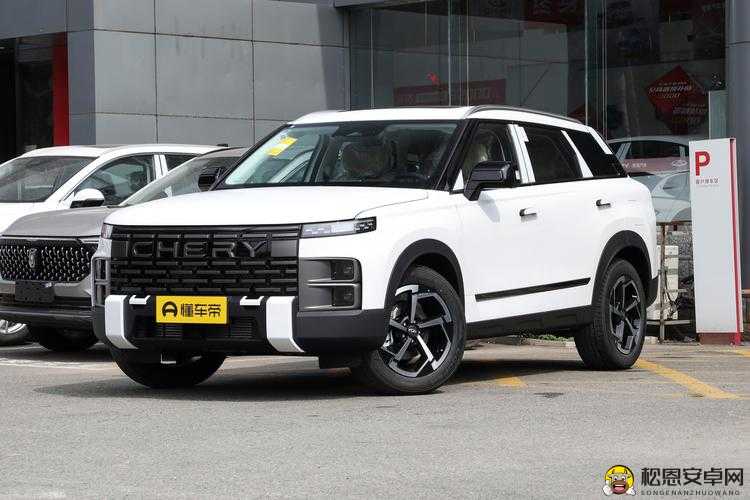 国产 SUV 精品一区二区 6 有什么特点：详细解读其独特之处与优势所在